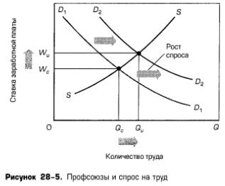 Профсоюзы и спрос на труд Профсоюзы и спрос на труд